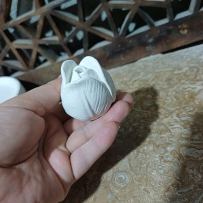 بیس خام غنچه گل رز یا گل لاله