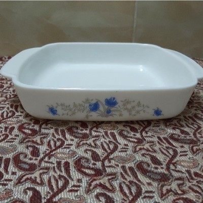 مرغ خوری خارجی