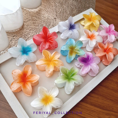 کلیپس پلومریا، کلیپس گل رنگی در رنگبندی متنوع-142276