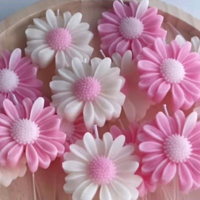 شمع بابونه روی آب