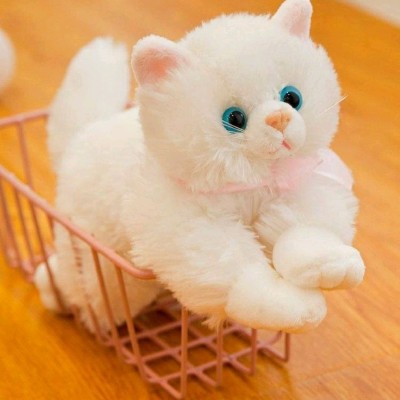 گربه موزیکال میو میو