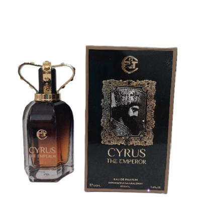 ادو پرفیوم مردانه ار تی مدل کوروش کبیر حجم 100 میل-154709