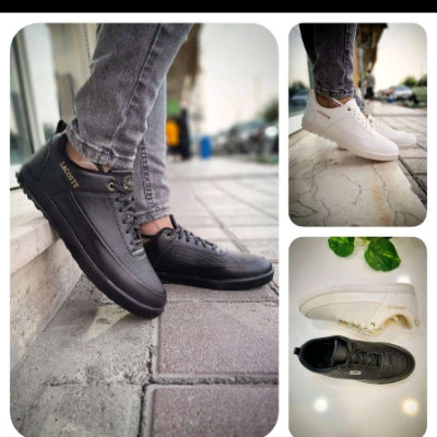 کفش کتانی اسپرت مردانه لاگوست