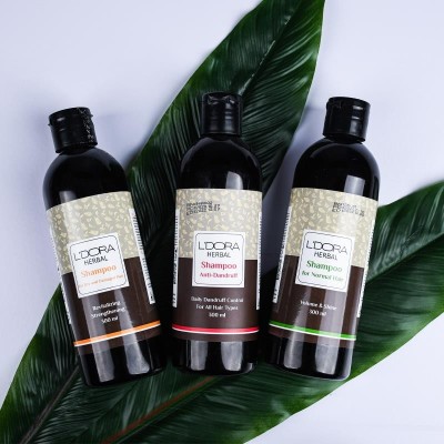 شامپو ضدشوره گیاهی لدورا هربال 300 میلی‌لیتر